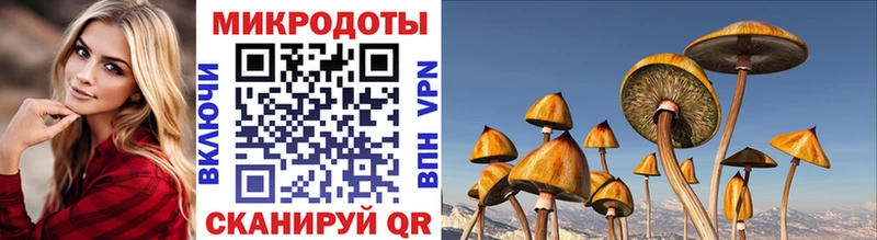 Псилоцибиновые грибы прущие грибы  купить наркотик  Микунь 